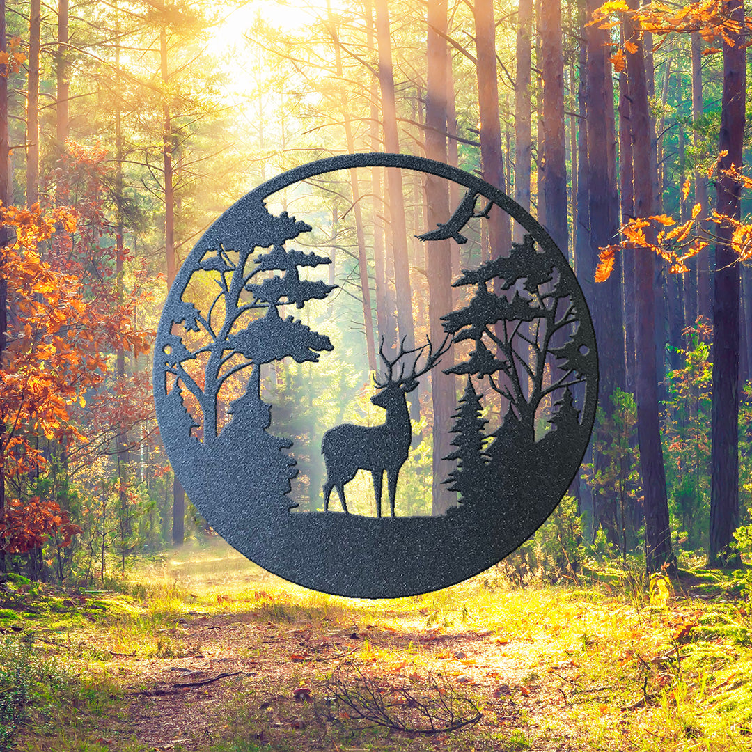 Thankful Thursday - Forrest Scene