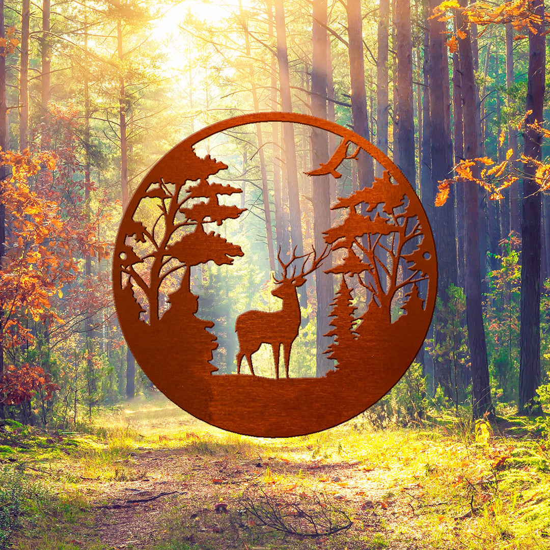 Thankful Thursday - Forrest Scene