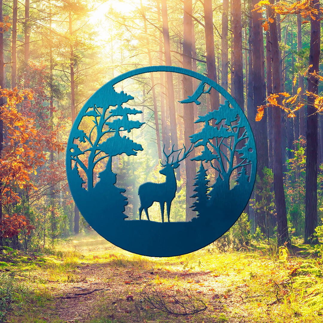 Thankful Thursday - Forrest Scene